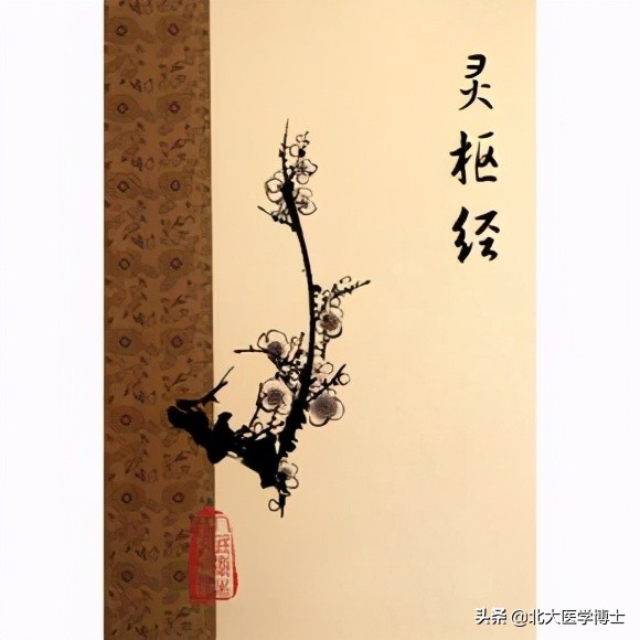 外阴白斑瘙痒止住颜色能恢复吗,外阴白斑止痒用什么药最好