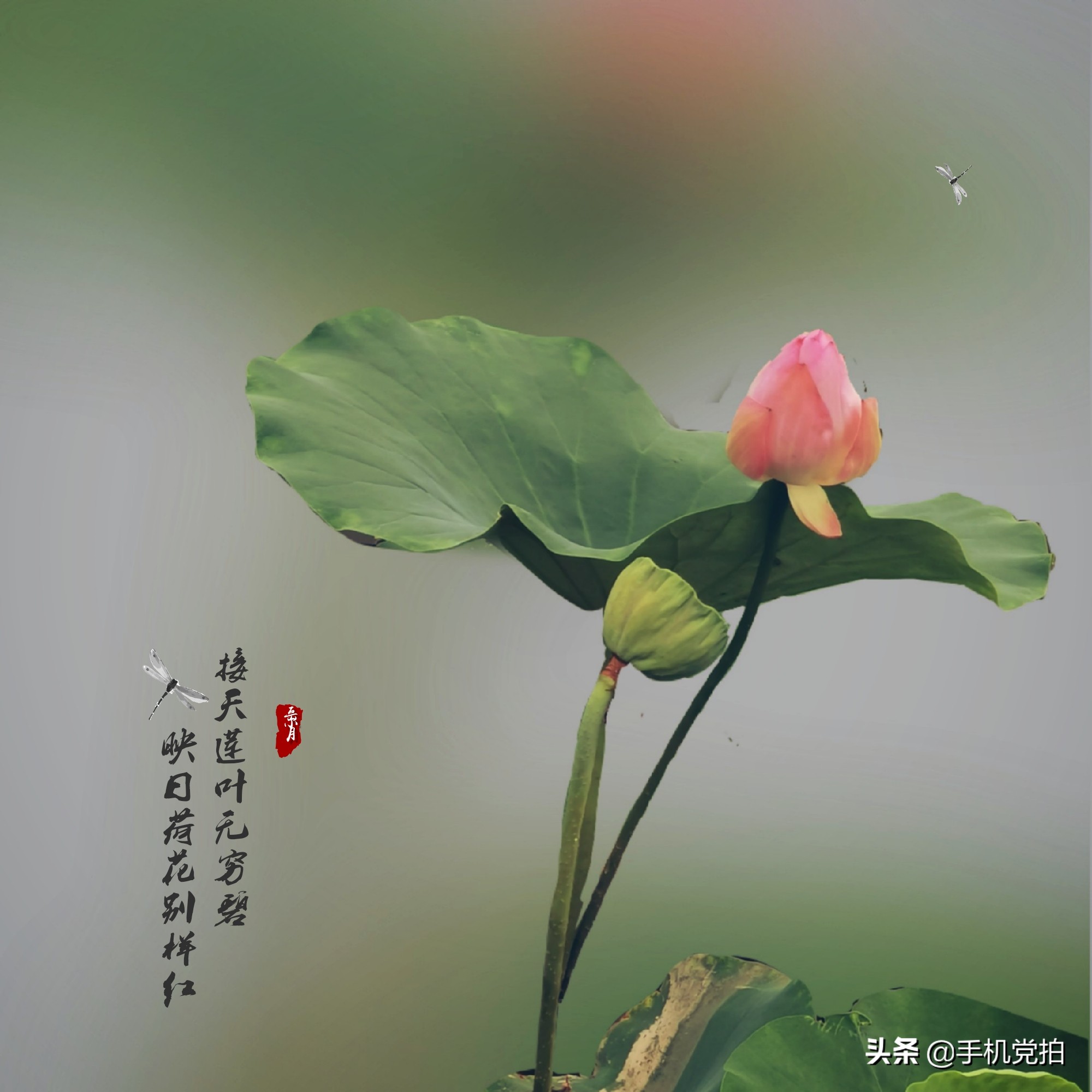 对镜自拍背景杂乱怎么虚化背景,如何把照片里面杂乱的背景虚化