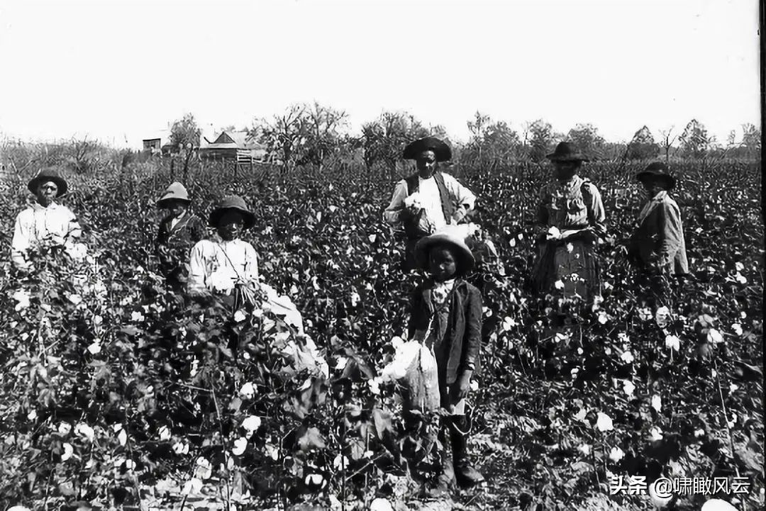 国家现代化的“入场券”:纺织业如何改变了世界经济