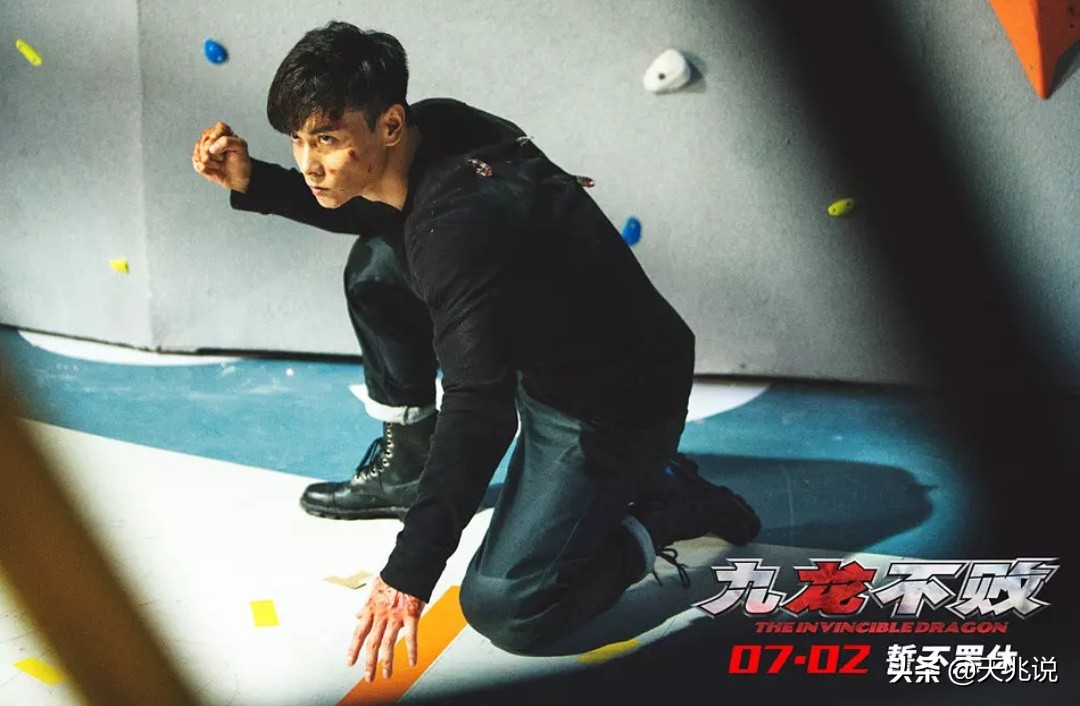 张晋武术集锦,张晋格斗经典