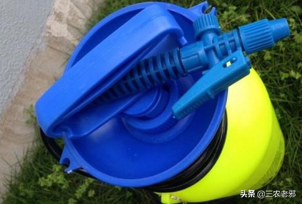 桑树卷叶病防治用的什么药,桑树叶子常见病害有哪些