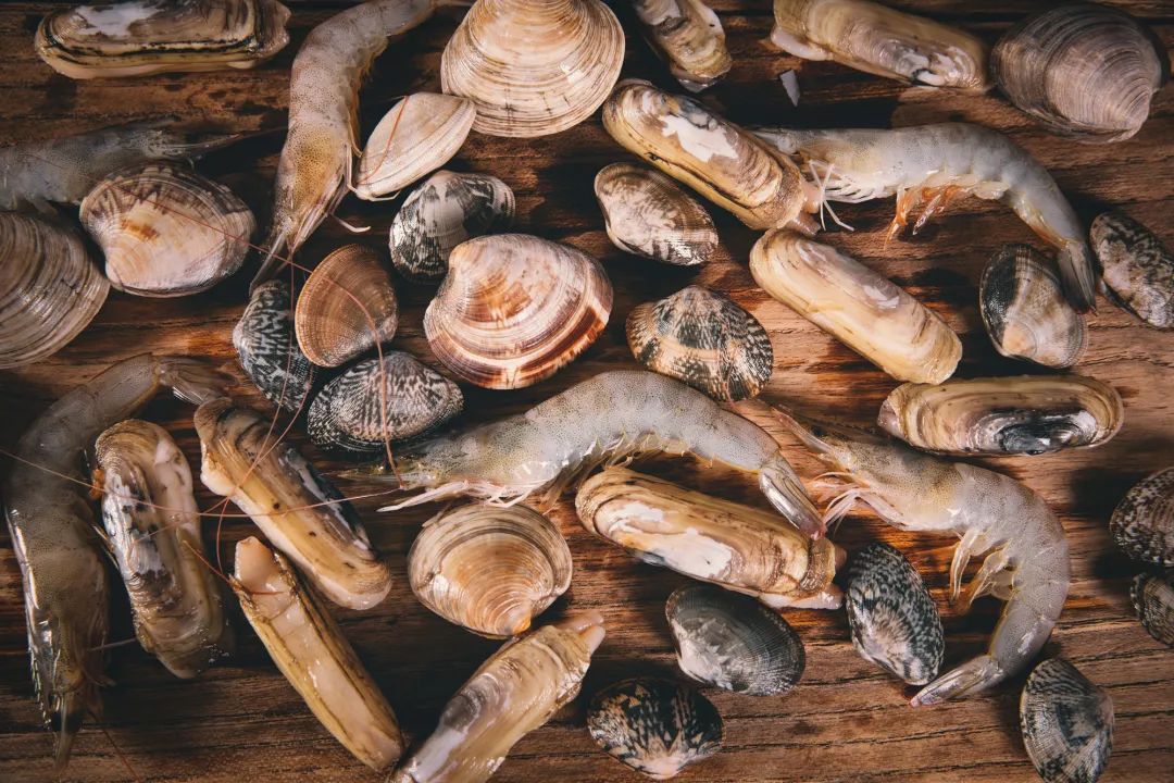 蛤蜊、蛏子、毛蚶、蚬子，那些好吃的小贝壳，今天一次搞清楚