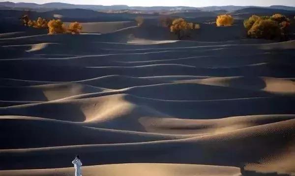 佳能70d单反相机自拍怎样设置,30分钟单反相机教程与摄影技巧