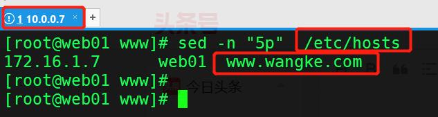 linuxnginx主页,nginx注册为linux服务