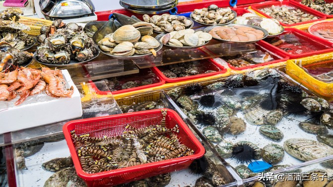 去韩国不购物回来的感受,去韩国一定要买什么