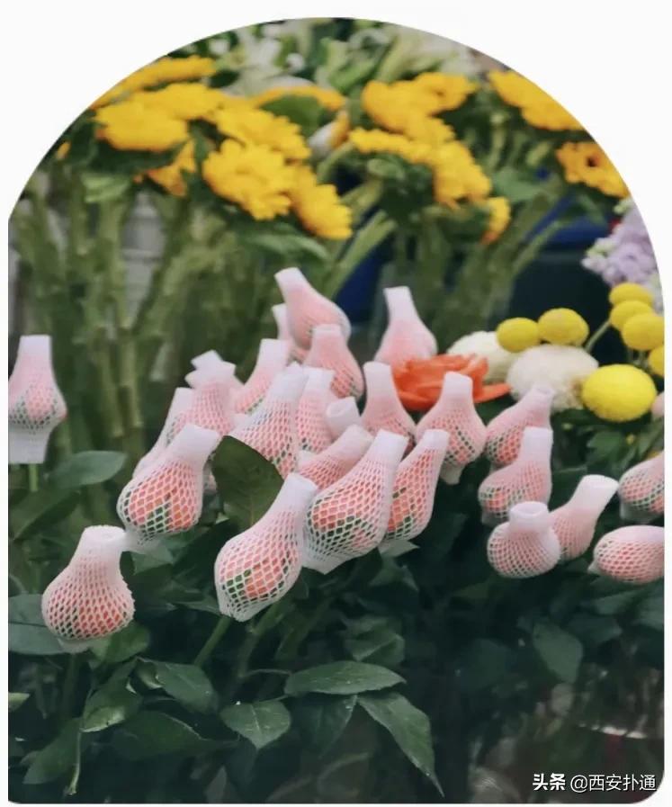 西安花市怎么买花便宜,西安最新花市