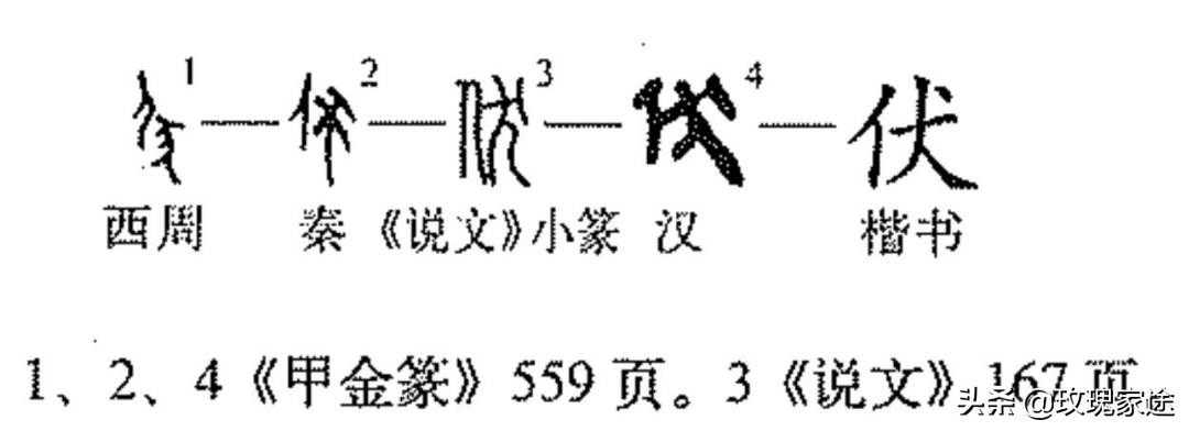 三伏天狗肉如何进补,三伏天吃狗肉有用吗