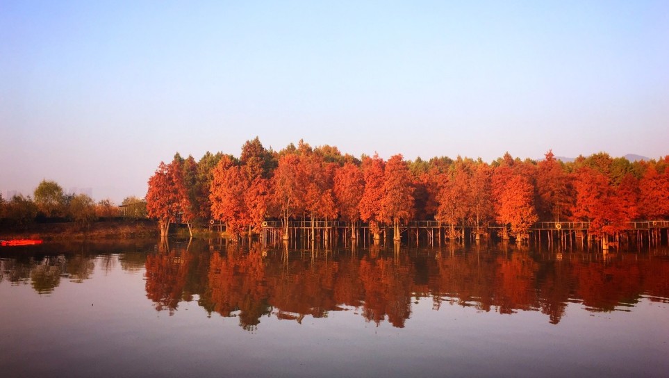 临安青山湖什么别墅值得买,杭州青山湖科技城最新房价