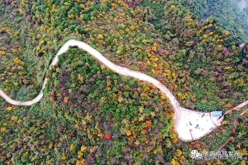 我叫成县，这是我2019年的自拍照