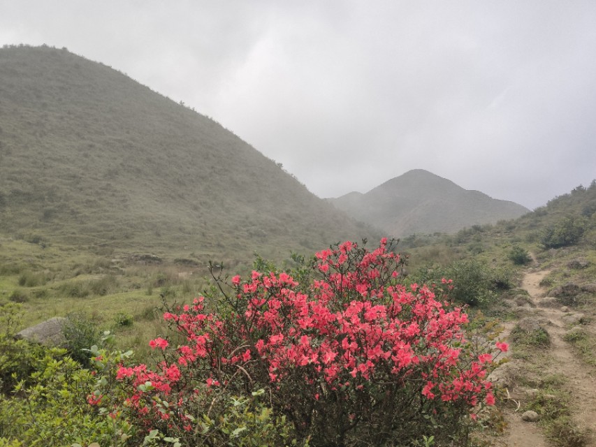 云浮_4月19日天露山的临死体验与明年一定再来