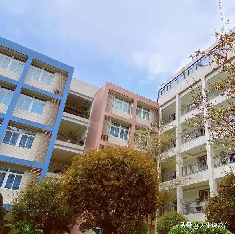 两江新区优质学区房来袭,未来发展了不起,快抢占优秀资源