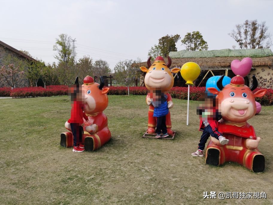 不一样的南通动物园,南通森林野生动物园和上海动物园