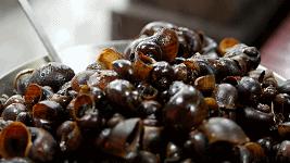 海口糖水铺,海口府城糖水铺