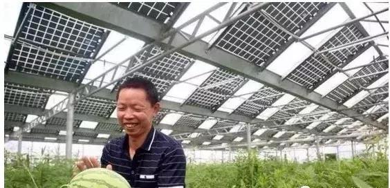 前景广阔的光伏产业,光伏农业行业发展趋势和前景