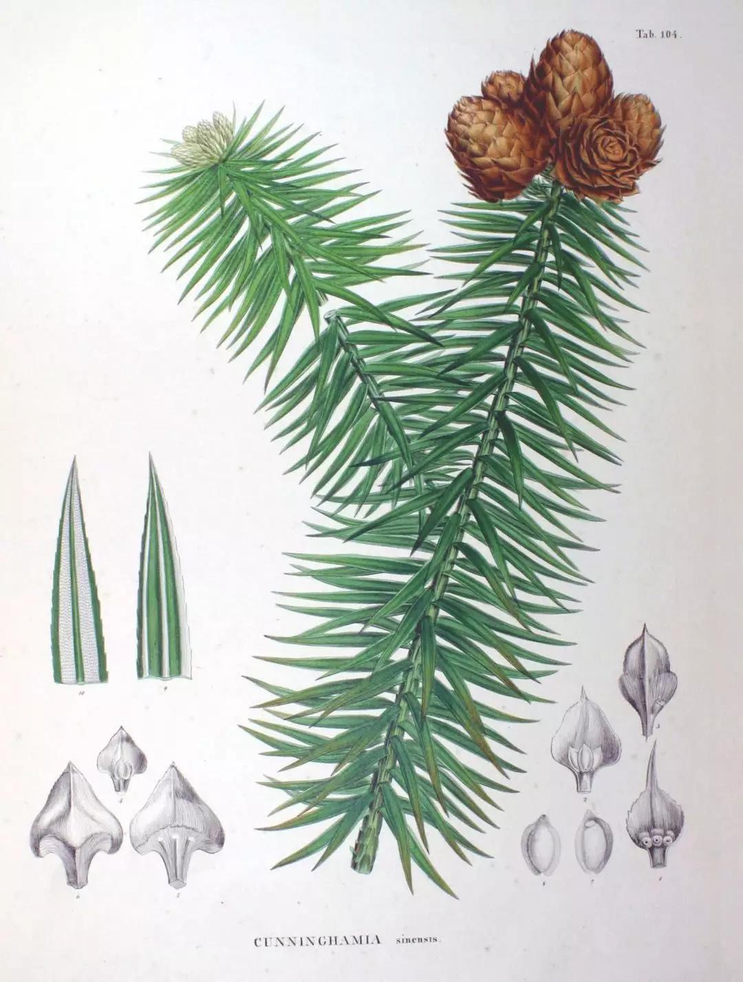 日本人的安全感,口罩带来的安全感