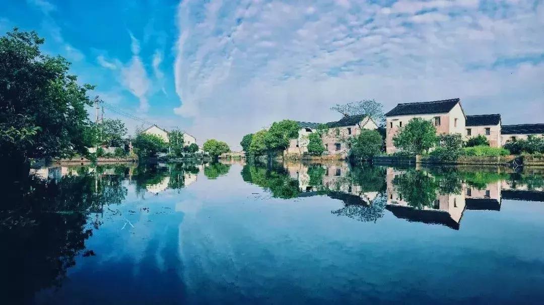 去上海必去的民宿,上海树林民宿推荐