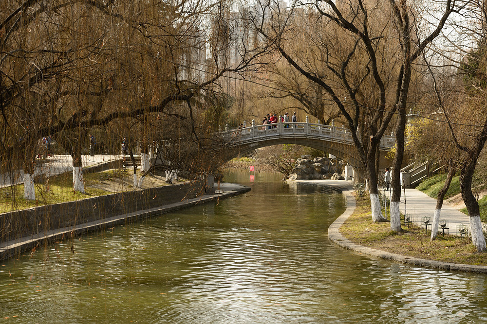 你不知道的大雁塔,你不知道的长安城