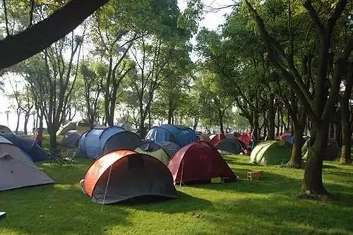 昆明周边适合露营的森林,昆明附近露营风景好