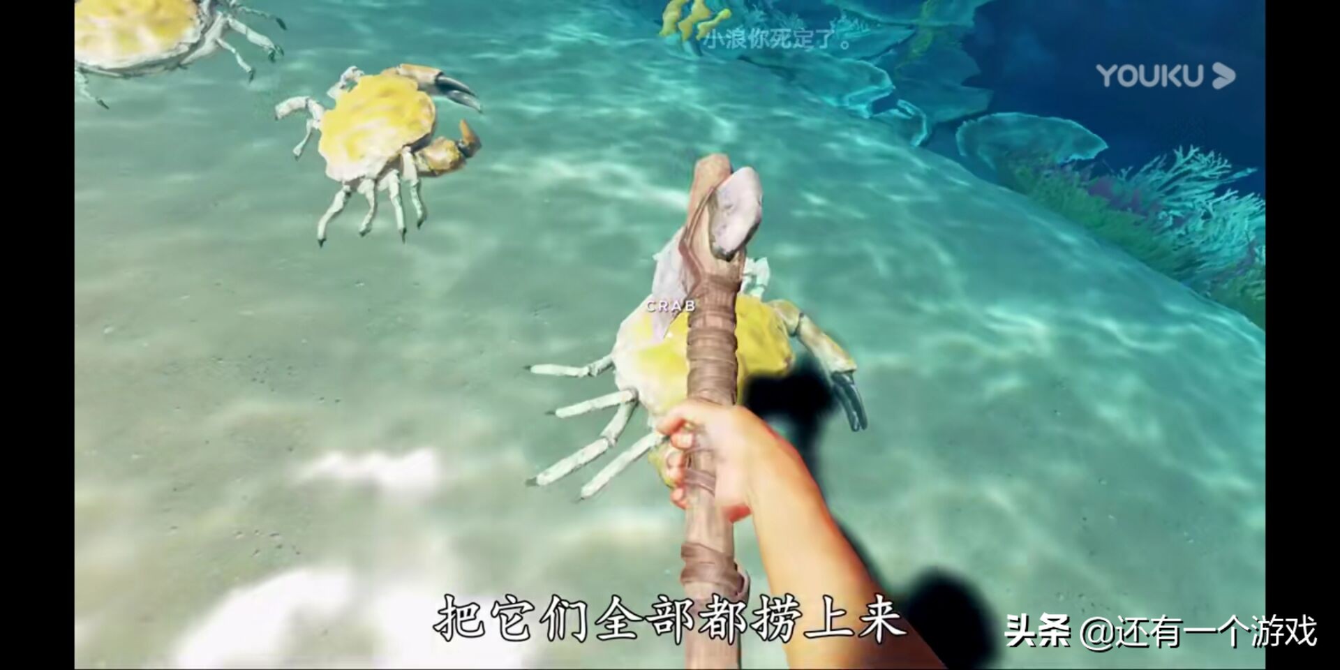 荒岛求生的沉船都有什么东西,荒岛求生小浪获得丰富资源