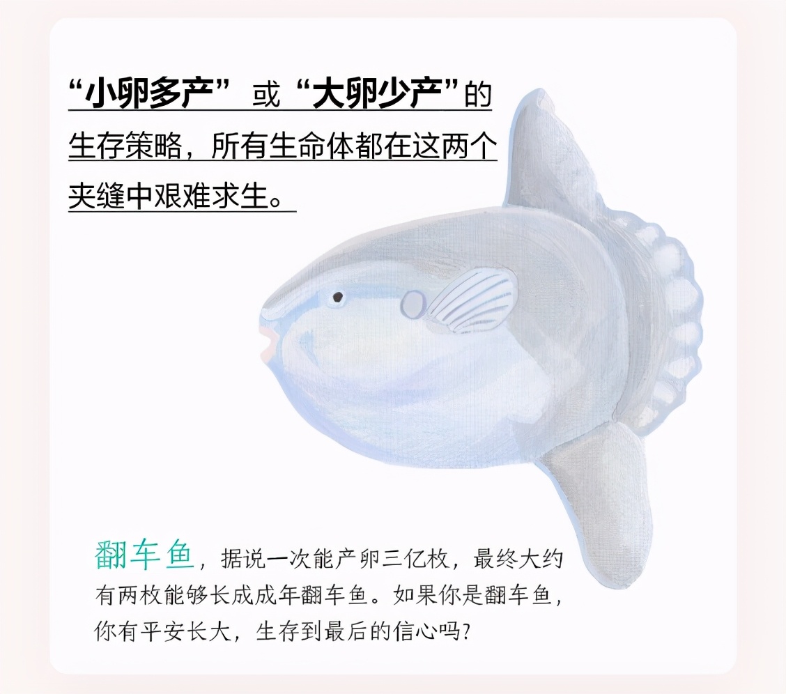 日本动物感人书籍,动物生死书