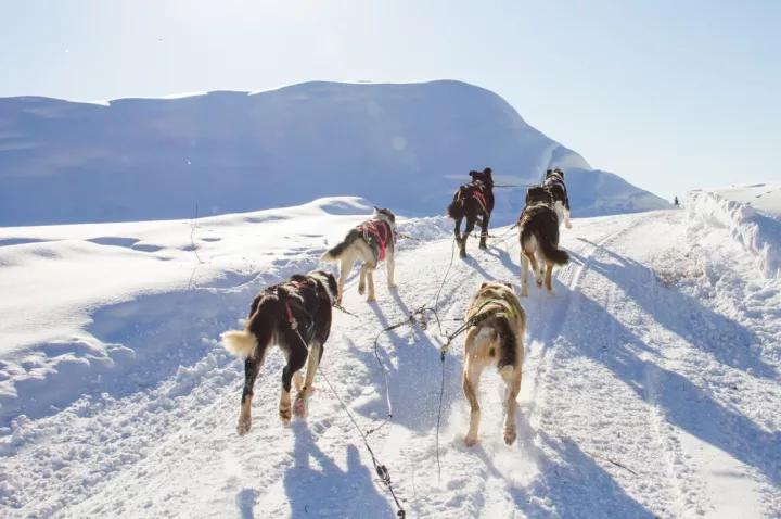 冬日的坝美有多美,冬日的坝上草原
