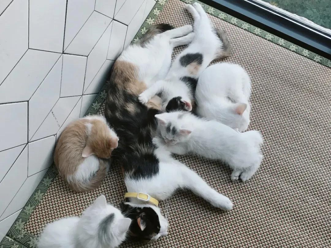 用阅读触摸成都|在成都不能错过的10家书店(下)