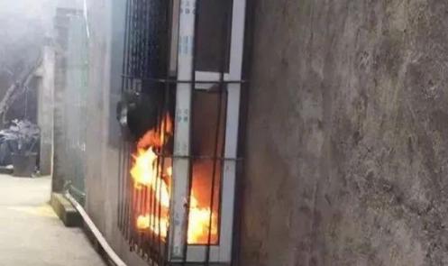 《论安阳师范学院强于哈佛大学》一文被热转，官方回应；我老婆在高速上生了！”河南孕妇高速上产女