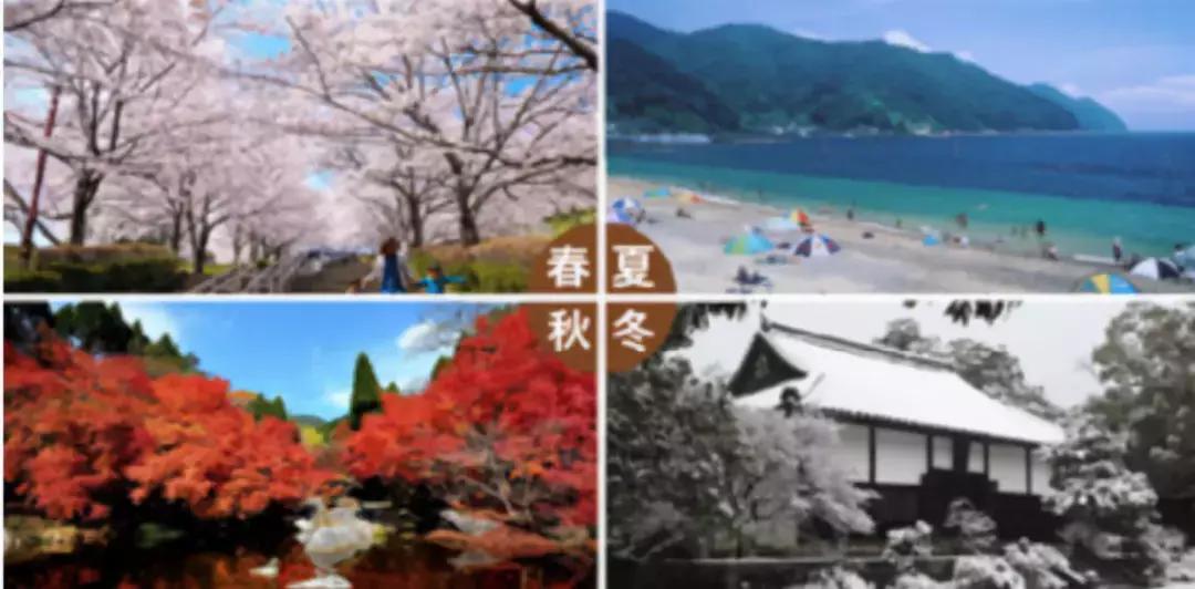 我的第二故乡山东,我的第二故乡和平县