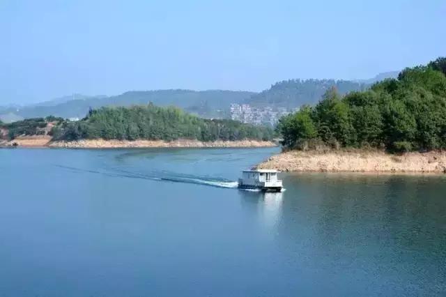 40岁大叔钓鱼,40岁大叔买下一座岛