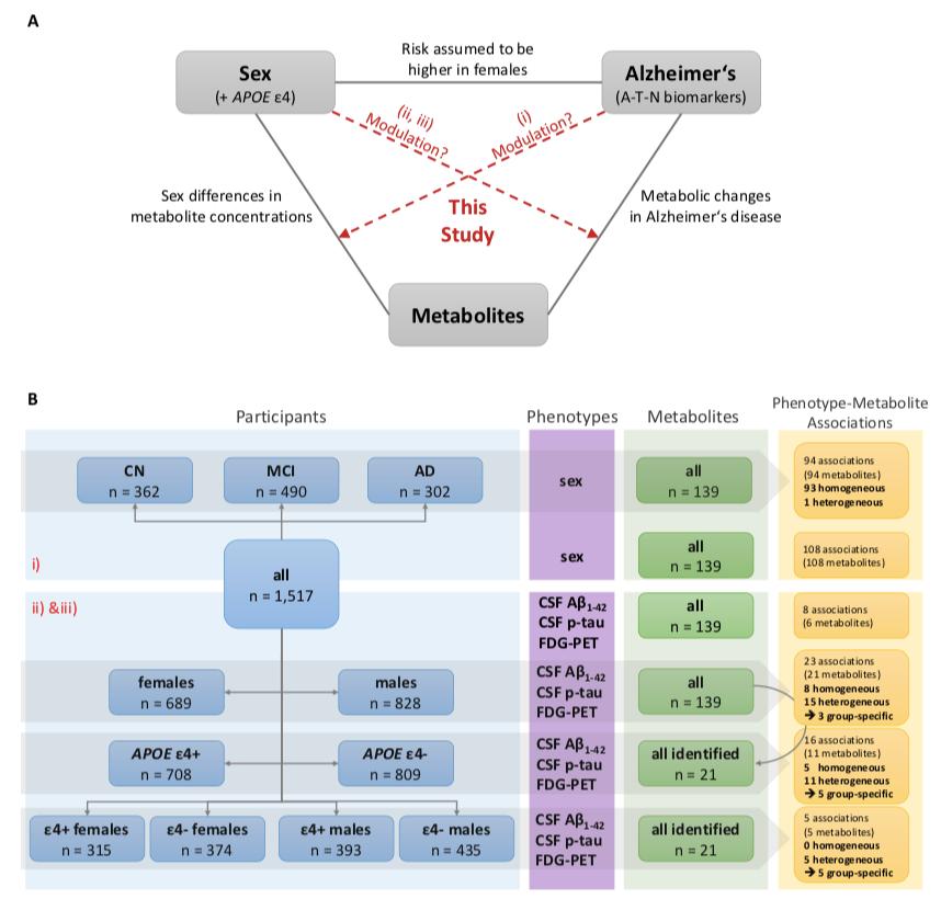 阿尔茨海默病的最新研究报告,fda推荐治疗阿尔茨海默病