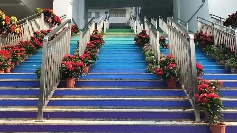 华侨城中学初中部排名,深圳华侨城2023校园招聘