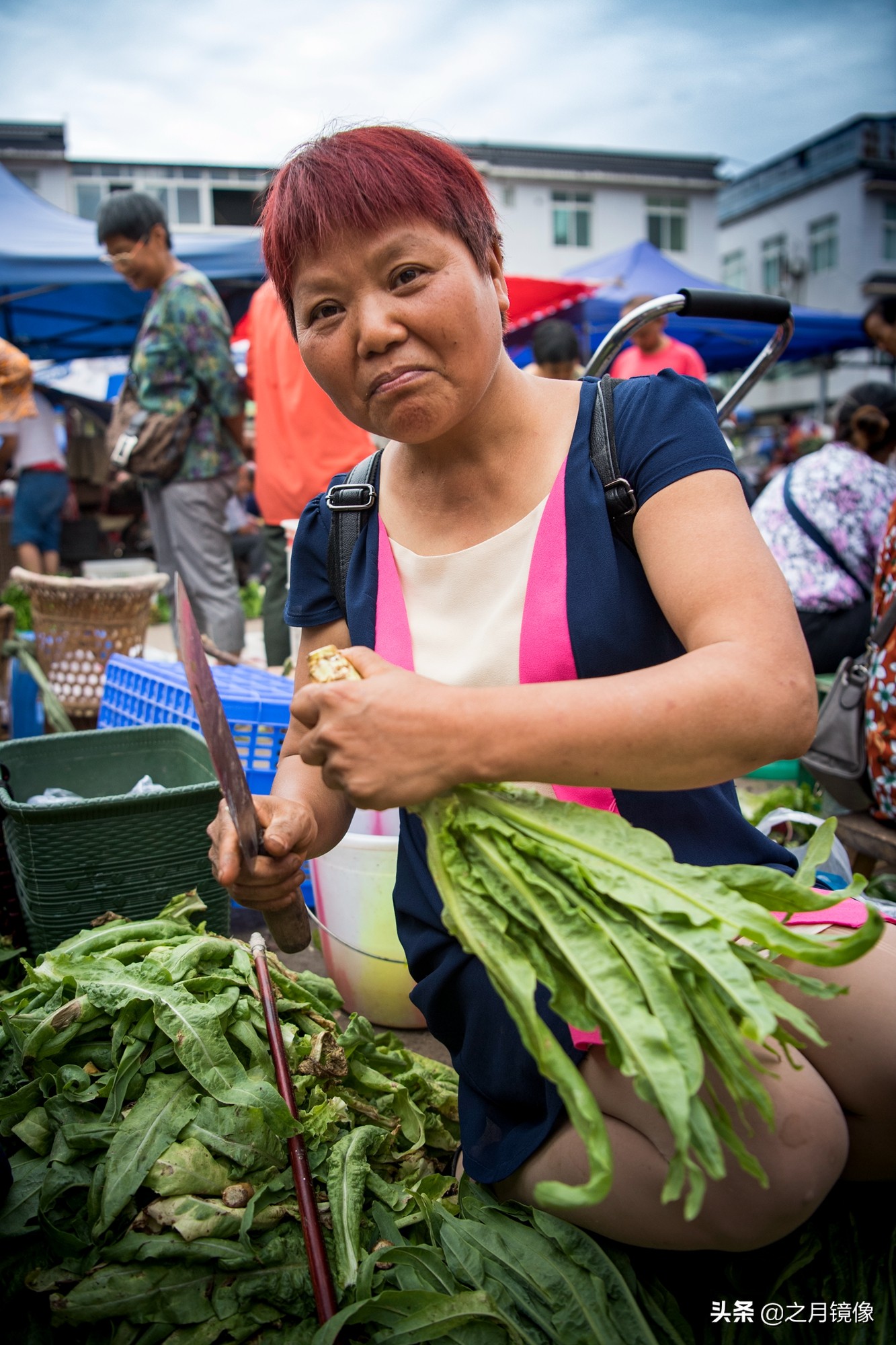 天府新区太平枇杷,成都太平枇杷批发市场