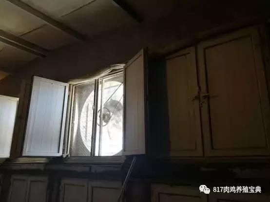 肉鸡最小通风量是怎么来的,817肉鸡如何设定温度曲线