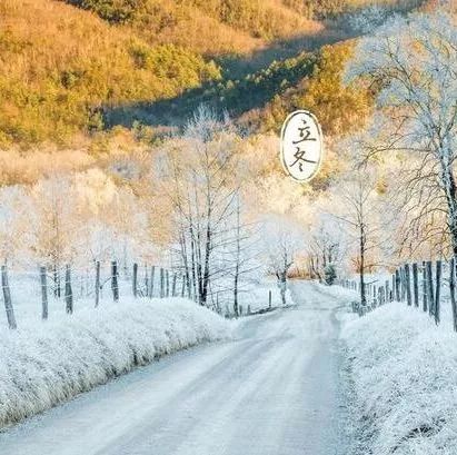 立冬吃什么菜可以补身体,今日立冬进补视频