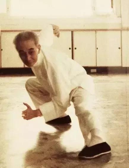 南怀瑾吸收日月精华,南怀瑾讲生命的起源