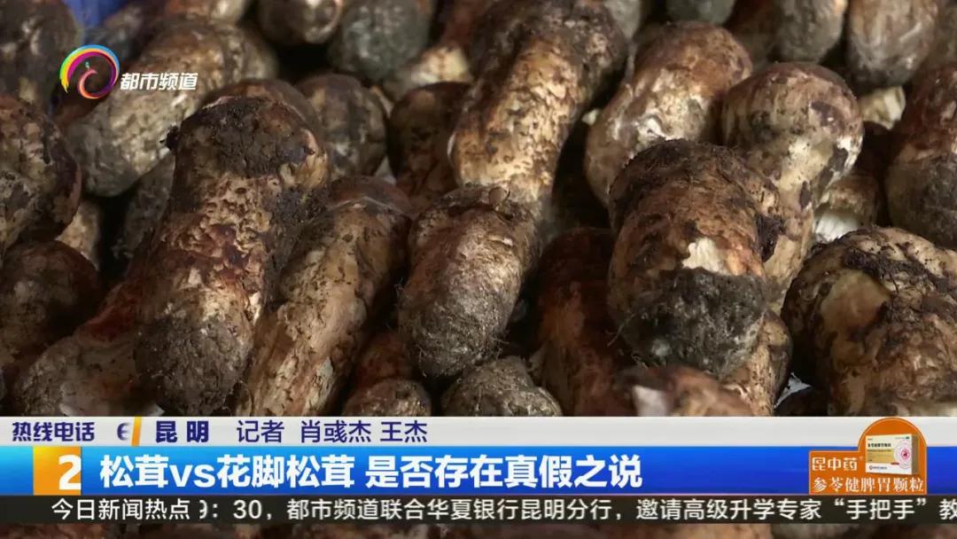 买到假虫草怎么检测,西藏买到假松茸