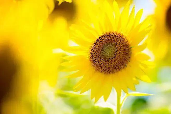 “自杀俱乐部”读后感—坚持一下,再坚持再一下…