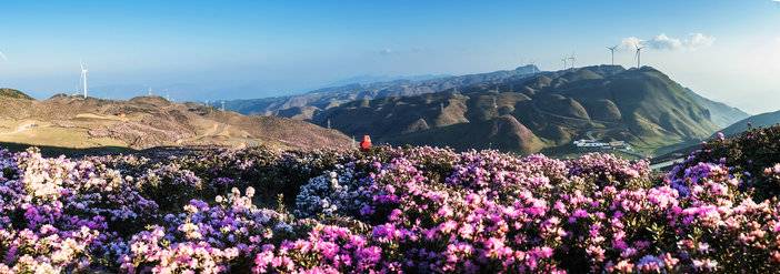 贵州盘州乌蒙草原海拔多少,贵州六盘水乌蒙大草原海拔多少