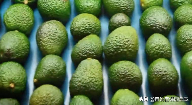 牛油果是坏了吗,牛油果几十年前