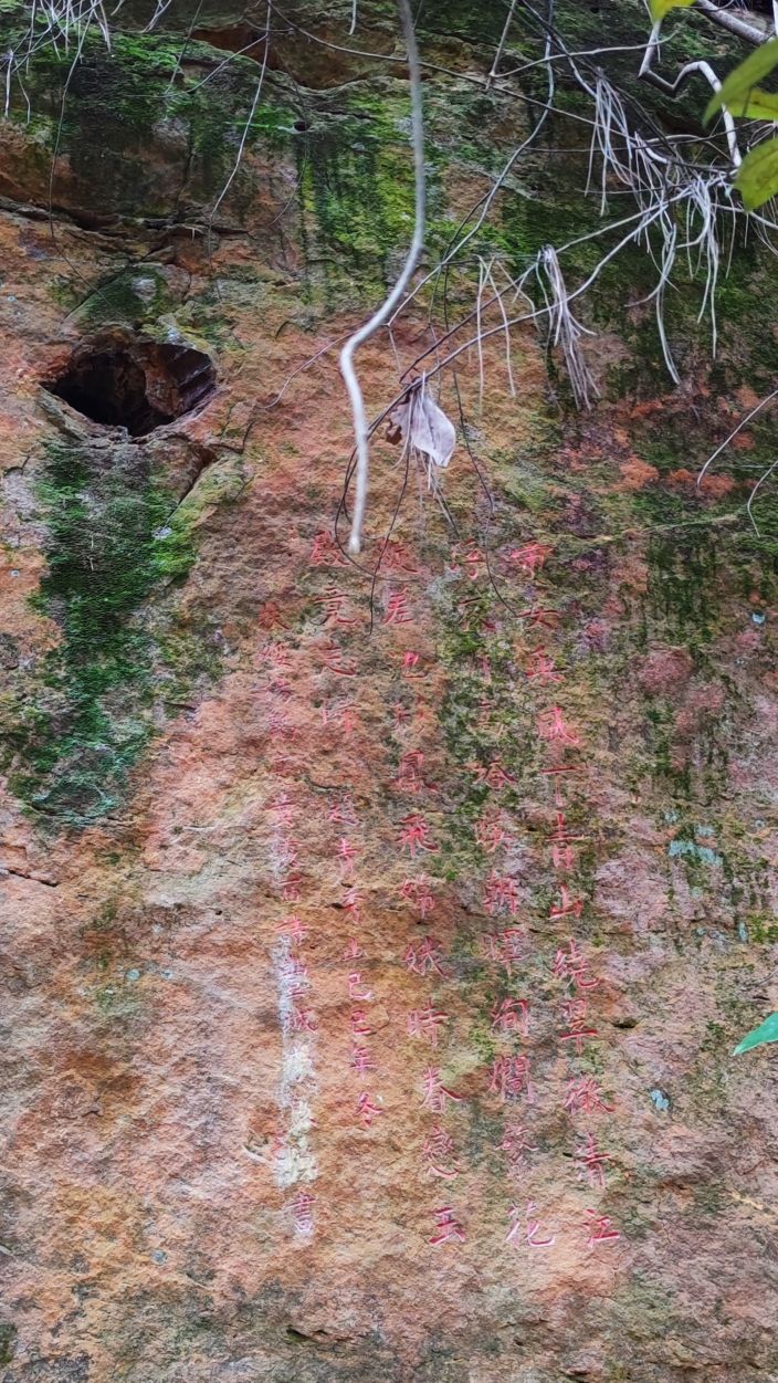 青秀山有什么独特之处,青秀山里有什么美景