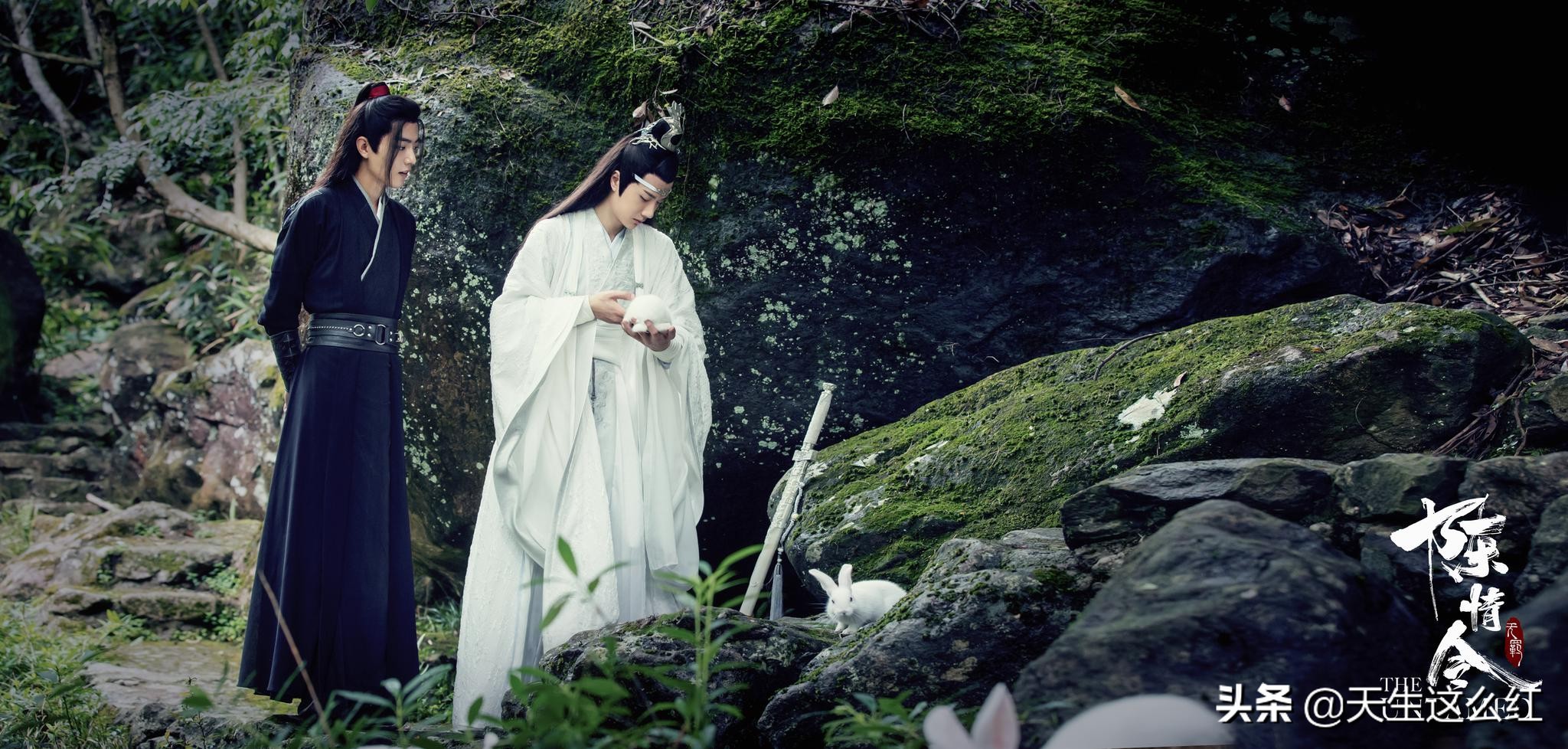 你以为《陈情令》这就完了?想过魏无羡跟蓝忘机怎么过日子吗?