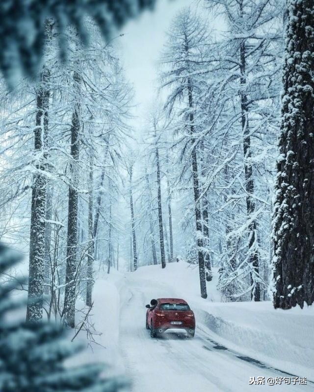 适合发QQ动态的句子,qq动态说说大全适合晚上发的