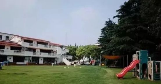 上海排名前十的幼儿园,上海幼儿园top10