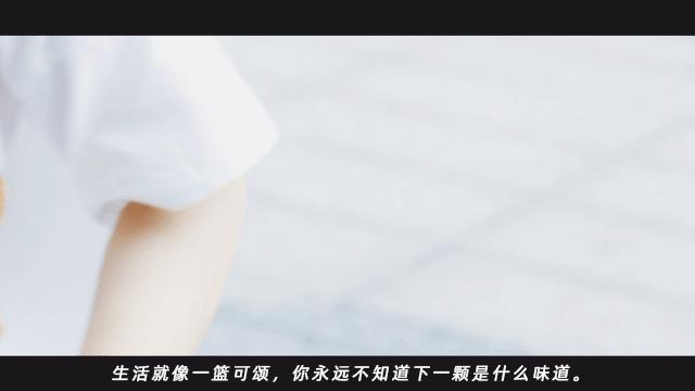 体育西蜂窝可颂，20+种口味！月售10w+