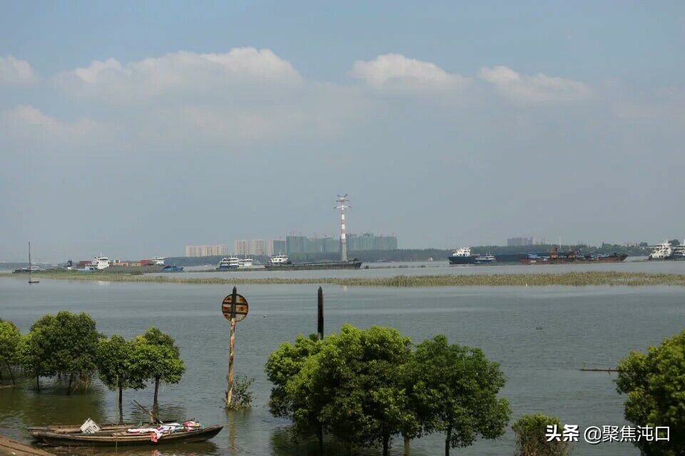 群策群力扬帆起航,齐心协力筑牢防线