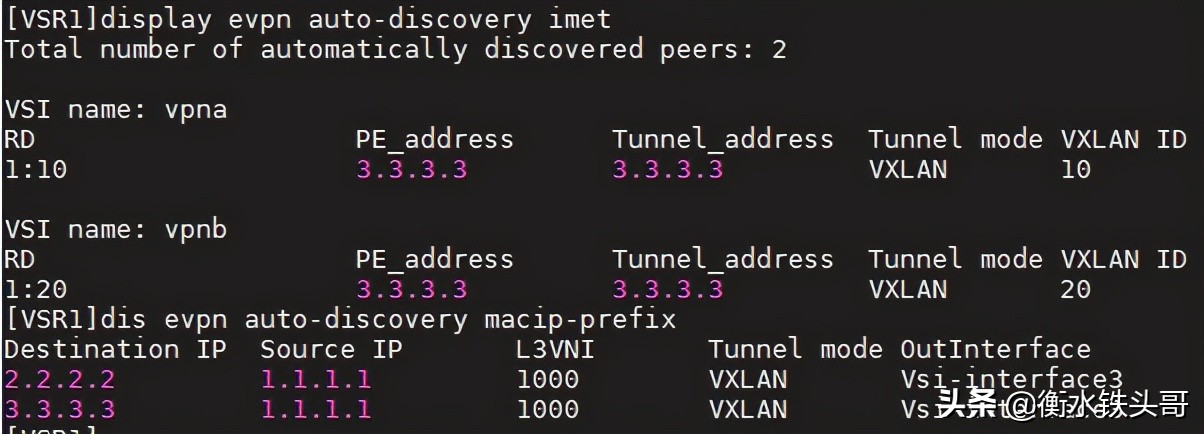EVPN小实验：分布式EVPN网关配置