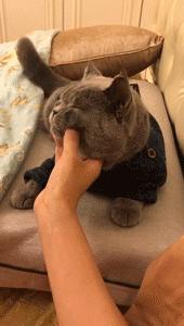 开心图文高清图片,开心图文原创