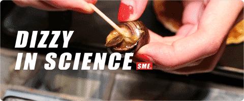 福寿螺和田螺都是卵生的吗,为什么田螺是胎生而福寿螺是卵生