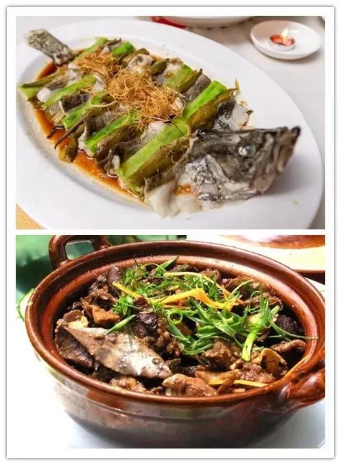 广东人少景美的小众旅行地,周末去哪里玩十大必去景点