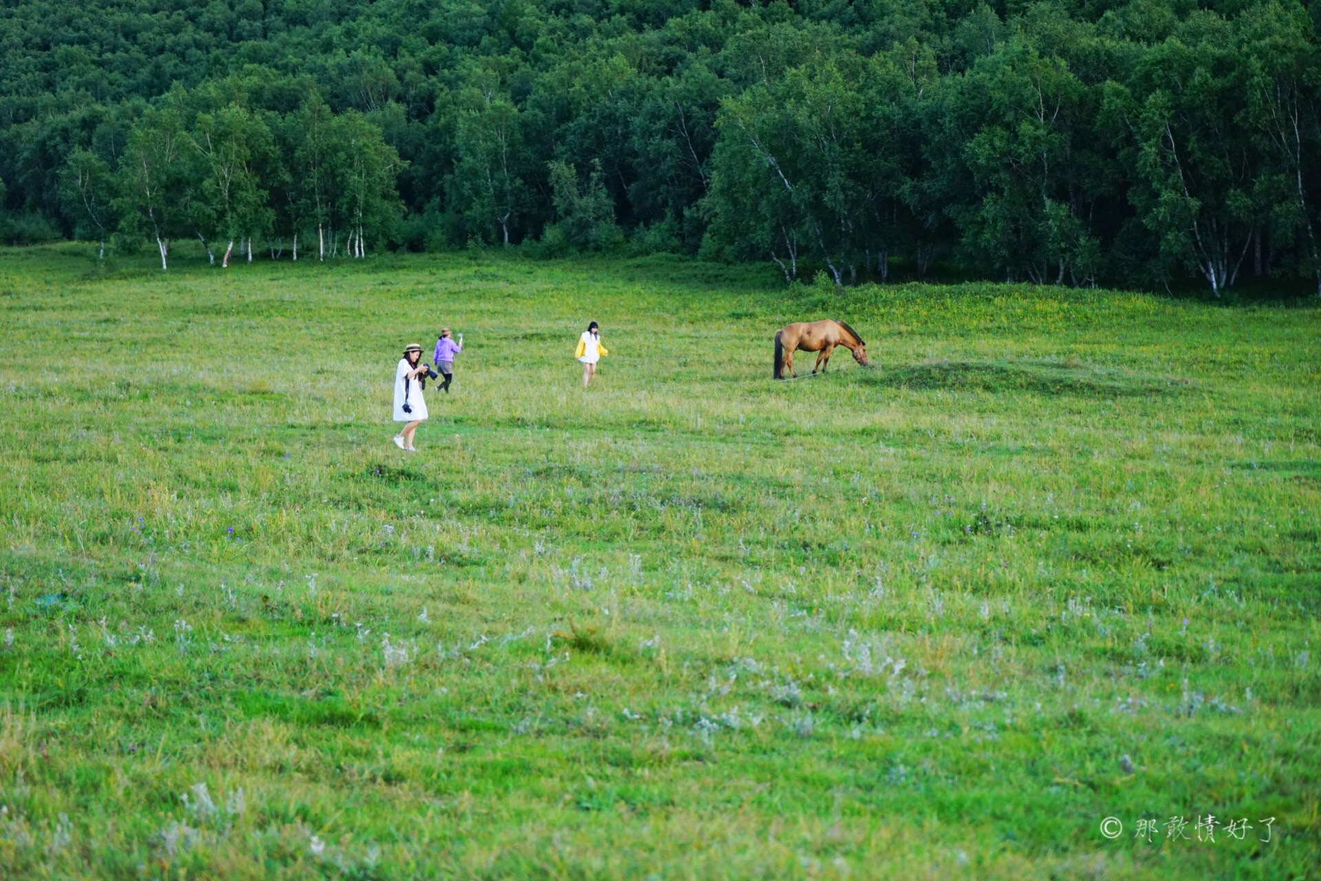 北京北部看红叶自驾线路推荐,冬季京西自驾游最佳线路